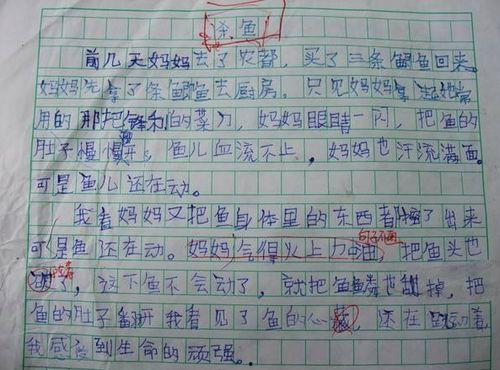 娱乐吃瓜酱小学生作文,小学生眼中的娱乐圈风云